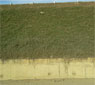 Erosion Control and Embankment Protection