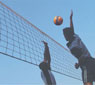 Volley Ball Nets