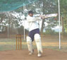 Cricket Nets